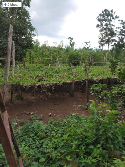 Hình ảnh Nhà khoa