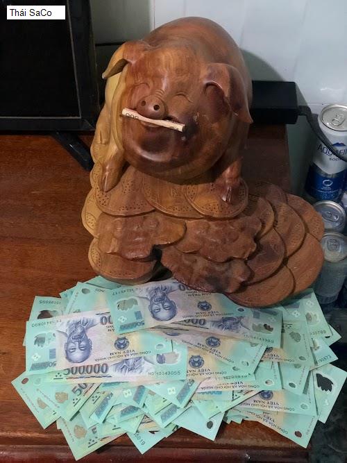 Hình ảnh Thái SaCo